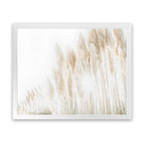 Shop Pampas Grass Reeds Photo Art Print-Boho, Botanicals, Coastal, Hamptons, Landscape, Neutrals, Photography, Tropical, View All-framed poster wall decor artwork