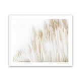 Shop Pampas Grass Reeds Photo Art Print-Boho, Botanicals, Coastal, Hamptons, Landscape, Neutrals, Photography, Tropical, View All-framed poster wall decor artwork