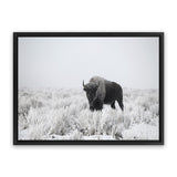 Shop Snow Buffalo Photo Canvas Art Print-Animals, Grey, Horizontal, Landscape, Photography, Photography Canvas Prints, Rectangle, View All-framed wall decor artwork
