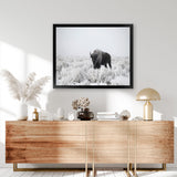 Shop Snow Buffalo Photo Art Print-Animals, Black, Grey, Horizontal, Landscape, Photography, Rectangle, View All-framed poster wall decor artwork