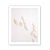 Shop Dried Flowers Photo Art Print-Boho, Coastal, Florals, Neutrals, Photography, Pink, Portrait, View All-framed poster wall decor artwork