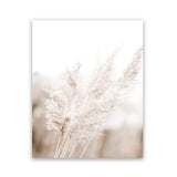 Shop Autumn Pampas Grass Photo Art Print-Boho, Botanicals, Coastal, Florals, Hamptons, Neutrals, Photography, Pink, Portrait, View All-framed poster wall decor artwork