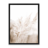 Shop Autumn Pampas Grass Photo Canvas Art Print-Boho, Botanicals, Coastal, Florals, Hamptons, Neutrals, Photography, Photography Canvas Prints, Pink, Portrait, View All-framed wall decor artwork