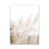 Shop Autumn Pampas Grass Photo Canvas Art Print-Boho, Botanicals, Coastal, Florals, Hamptons, Neutrals, Photography, Photography Canvas Prints, Pink, Portrait, View All-framed wall decor artwork