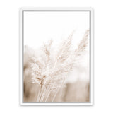 Shop Autumn Pampas Grass Photo Canvas Art Print-Boho, Botanicals, Coastal, Florals, Hamptons, Neutrals, Photography, Photography Canvas Prints, Pink, Portrait, View All-framed wall decor artwork