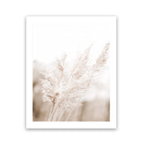 Shop Autumn Pampas Grass Photo Art Print-Boho, Botanicals, Coastal, Florals, Hamptons, Neutrals, Photography, Pink, Portrait, View All-framed poster wall decor artwork