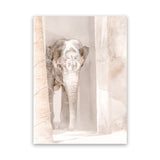 Shop Elephant Steps Photo Canvas Art Print-Animals, Baby Nursery, Boho, Moroccan Days, Neutrals, Photography, Photography Canvas Prints, Pink, Portrait, View All-framed wall decor artwork