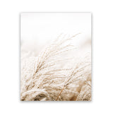 Shop Winter Pampas Grass Photo Wall Art Print-Boho, Botanicals, Coastal, Hamptons, Neutrals, Photography, Portrait, Scandinavian, View All-framed poster wall decor artwork