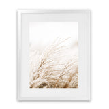 Shop Winter Pampas Grass Photo Wall Art Print-Boho, Botanicals, Coastal, Hamptons, Neutrals, Photography, Portrait, Scandinavian, View All-framed poster wall decor artwork