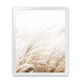 Shop Winter Pampas Grass Photo Wall Art Print-Boho, Botanicals, Coastal, Hamptons, Neutrals, Photography, Portrait, Scandinavian, View All-framed poster wall decor artwork
