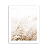 Shop Winter Pampas Grass Photo Wall Art Print-Boho, Botanicals, Coastal, Hamptons, Neutrals, Photography, Portrait, Scandinavian, View All-framed poster wall decor artwork