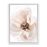 Shop Winter Blooms II Photo Canvas Art Print-Florals, Neutrals, Photography, Photography Canvas Prints, Pink, Portrait, Purple, View All-framed wall decor artwork