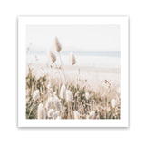 Shop Coastal Grass (Square) Photo Art Print-Boho, Botanicals, Coastal, Florals, Hamptons, Neutrals, Photography, Scandinavian, Square, View All-framed poster wall decor artwork