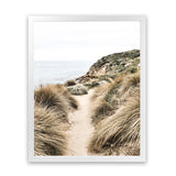 Shop Coastal Path I Photo Art Print-Boho, Brown, Coastal, Green, Nature, Photography, Portrait, View All-framed poster wall decor artwork