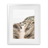 Shop Coastal Path II Photo Art Print-Boho, Brown, Coastal, Green, Nature, Photography, Portrait, View All-framed poster wall decor artwork