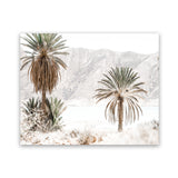 Shop Palm Valley Photo Art Print-Boho, Botanicals, Coastal, Green, Landscape, Moroccan Days, Neutrals, Photography, View All-framed poster wall decor artwork
