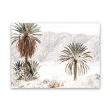 Shop Palm Valley Photo Canvas Art Print-Boho, Botanicals, Coastal, Green, Landscape, Moroccan Days, Neutrals, Photography, Photography Canvas Prints, View All-framed wall decor artwork