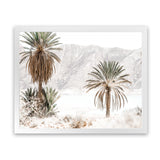 Shop Palm Valley Photo Art Print-Boho, Botanicals, Coastal, Green, Landscape, Moroccan Days, Neutrals, Photography, View All-framed poster wall decor artwork