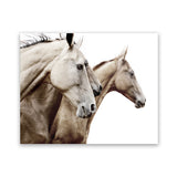 Shop Cream Horses Photo Art Print-Animals, Brown, Landscape, Photography, View All, White-framed poster wall decor artwork