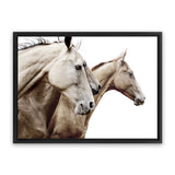 Shop Cream Horses Photo Canvas Art Print-Animals, Brown, Landscape, Photography, Photography Canvas Prints, View All, White-framed wall decor artwork