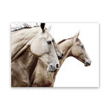 Shop Cream Horses Photo Canvas Art Print-Animals, Brown, Landscape, Photography, Photography Canvas Prints, View All, White-framed wall decor artwork