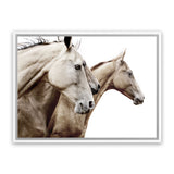 Shop Cream Horses Photo Canvas Art Print-Animals, Brown, Landscape, Photography, Photography Canvas Prints, View All, White-framed wall decor artwork