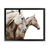 Shop Cream Horses Photo Art Print-Animals, Brown, Landscape, Photography, View All, White-framed poster wall decor artwork