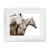 Shop Cream Horses Photo Art Print-Animals, Brown, Landscape, Photography, View All, White-framed poster wall decor artwork