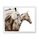 Shop Cream Horses Photo Art Print-Animals, Brown, Landscape, Photography, View All, White-framed poster wall decor artwork