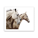 Shop Cream Horses Photo Art Print-Animals, Brown, Landscape, Photography, View All, White-framed poster wall decor artwork