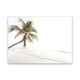 Shop Ocean Palm Tree Photo Canvas Art Print-Boho, Coastal, Green, Landscape, Photography, Photography Canvas Prints, Tropical, View All, White-framed wall decor artwork