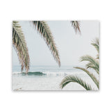 Shop Swaying Palms Photo Art Print-Blue, Coastal, Green, Landscape, Photography, Tropical, View All-framed poster wall decor artwork