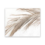 Shop Dried Palm Leaf I Photo Art Print-Boho, Brown, Coastal, Landscape, Neutrals, Photography, Tropical, View All, White-framed poster wall decor artwork