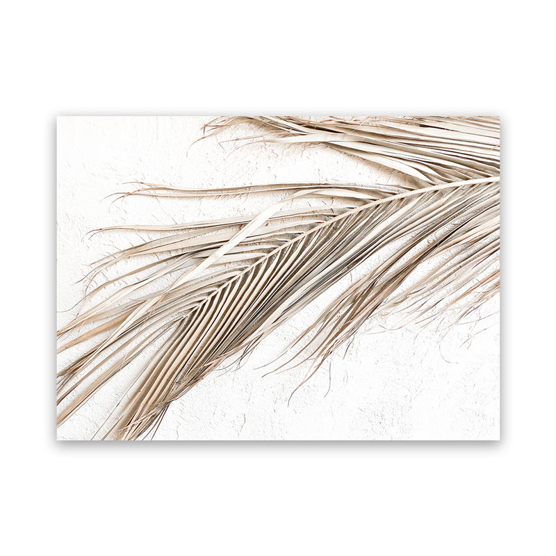 Shop Dried Palm Leaf I Photo Canvas Art Print-Boho, Brown, Coastal, Landscape, Neutrals, Photography, Photography Canvas Prints, Tropical, View All, White-framed wall decor artwork