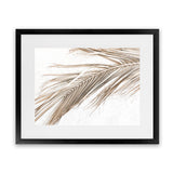 Shop Dried Palm Leaf I Photo Art Print-Boho, Brown, Coastal, Landscape, Neutrals, Photography, Tropical, View All, White-framed poster wall decor artwork
