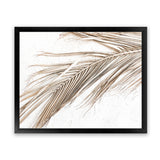 Shop Dried Palm Leaf I Photo Art Print-Boho, Brown, Coastal, Landscape, Neutrals, Photography, Tropical, View All, White-framed poster wall decor artwork