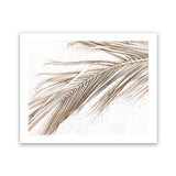 Shop Dried Palm Leaf I Photo Art Print-Boho, Brown, Coastal, Landscape, Neutrals, Photography, Tropical, View All, White-framed poster wall decor artwork