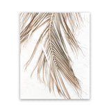 Shop Dried Palm Leaf II Photo Art Print-Boho, Brown, Coastal, Neutrals, Photography, Portrait, Tropical, View All, White-framed poster wall decor artwork