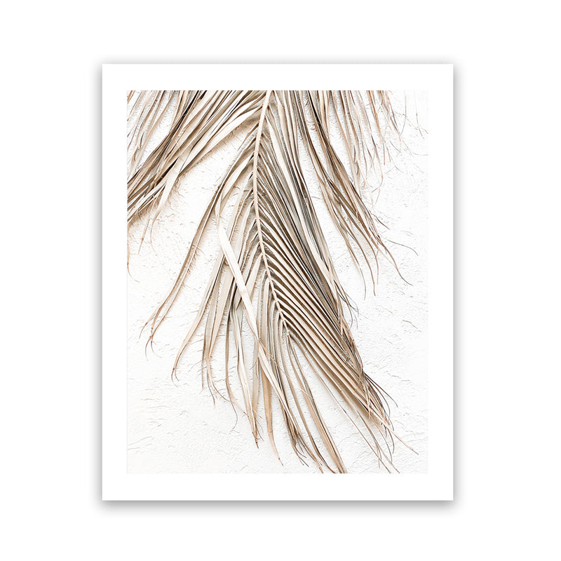 Shop Dried Palm Leaf II Photo Art Print-Boho, Brown, Coastal, Neutrals, Photography, Portrait, Tropical, View All, White-framed poster wall decor artwork