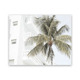 Shop Palm Hotel Photo Art Print-Boho, Coastal, Green, Landscape, Photography, Tropical, View All, White-framed poster wall decor artwork
