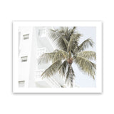 Shop Palm Hotel Photo Art Print-Boho, Coastal, Green, Landscape, Photography, Tropical, View All, White-framed poster wall decor artwork