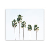 Shop Row Of Palms Photo Art Print-Boho, Coastal, Green, Landscape, Photography, Tropical, View All, White-framed poster wall decor artwork