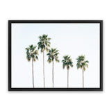 Shop Row Of Palms Photo Canvas Art Print-Boho, Coastal, Green, Landscape, Photography, Photography Canvas Prints, Tropical, View All, White-framed wall decor artwork