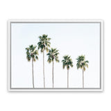 Shop Row Of Palms Photo Canvas Art Print-Boho, Coastal, Green, Landscape, Photography, Photography Canvas Prints, Tropical, View All, White-framed wall decor artwork