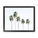 Shop Row Of Palms Photo Art Print-Boho, Coastal, Green, Landscape, Photography, Tropical, View All, White-framed poster wall decor artwork
