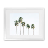 Shop Row Of Palms Photo Art Print-Boho, Coastal, Green, Landscape, Photography, Tropical, View All, White-framed poster wall decor artwork