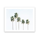 Shop Row Of Palms Photo Art Print-Boho, Coastal, Green, Landscape, Photography, Tropical, View All, White-framed poster wall decor artwork
