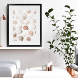 Shop Seashells I Photo Art Print-Boho, Coastal, Neutrals, Photography, Portrait, Tropical, View All-framed poster wall decor artwork