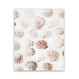 Shop Seashells I Photo Art Print-Boho, Coastal, Neutrals, Photography, Portrait, Tropical, View All-framed poster wall decor artwork