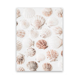 Shop Seashells I Photo Canvas Art Print-Boho, Coastal, Neutrals, Photography, Photography Canvas Prints, Portrait, Tropical, View All-framed wall decor artwork
